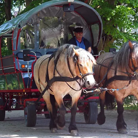 - Hiddensee 1 노이엔도르프