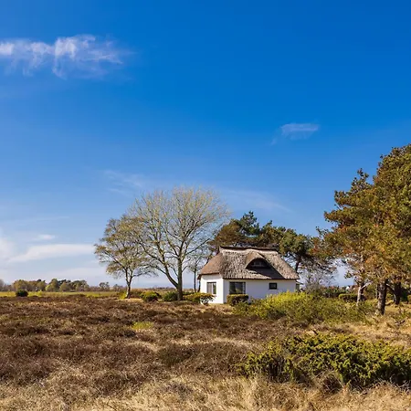 - Hiddensee 1 Lägenhet *