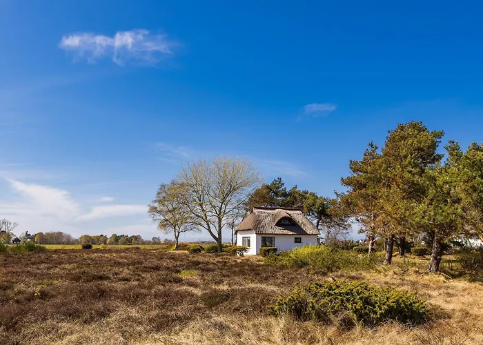 - Hiddensee 1 Апартаменты *
